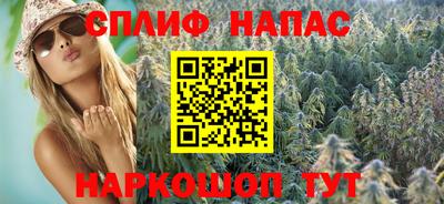 гашик Кинель