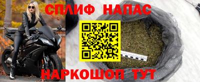 гашик Кинель