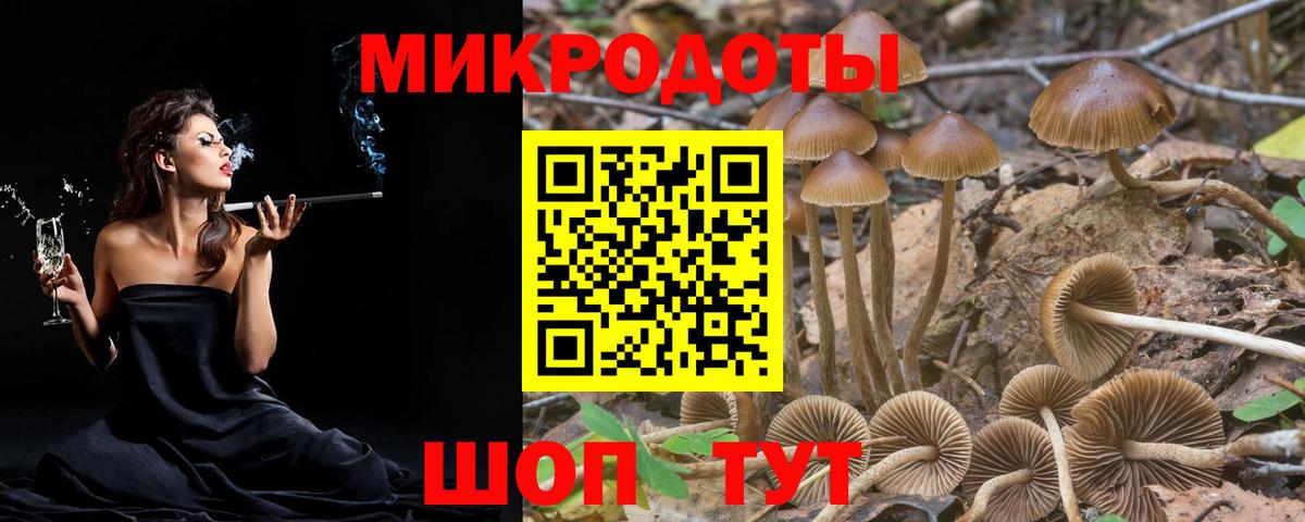 Псилоцибиновые грибы Psilocybe  где можно купить   Котовск  Вход с VPN 